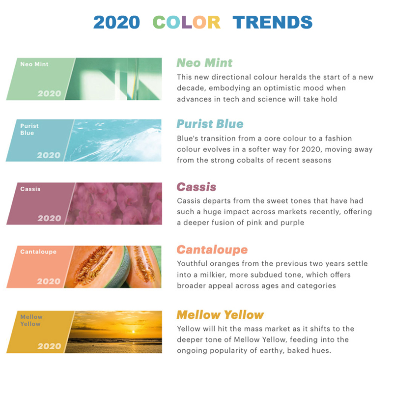 2020色の傾向